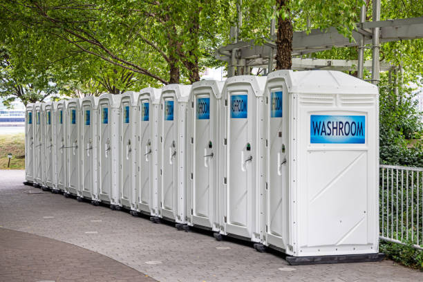 Best Affordable portable toilet rental  in Allen Park, MI